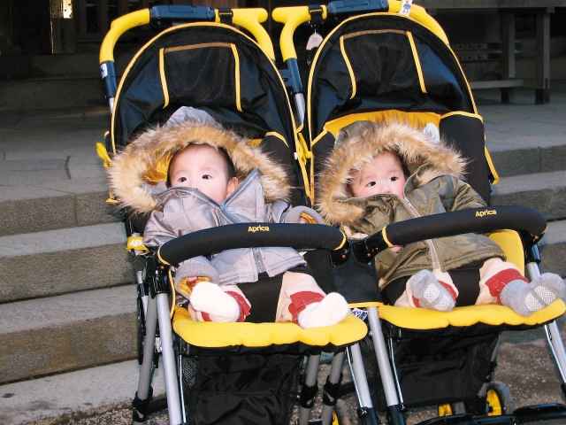 双子や三つ子が生まれる不思議… 家系の遺伝に関係あり？