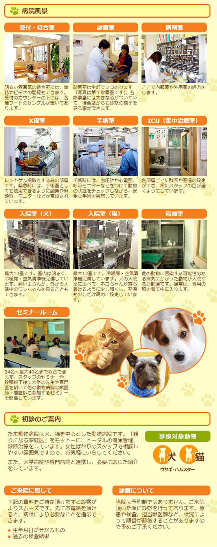 お知らせ たま動物病院 稲田堤駅 犬 川崎ドクターズ